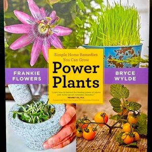 Power Plants: Simple Home Remedies You Can Grow